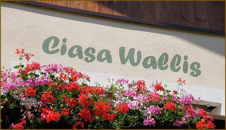 באדיה Ciasa Wallis מראה חיצוני תמונה